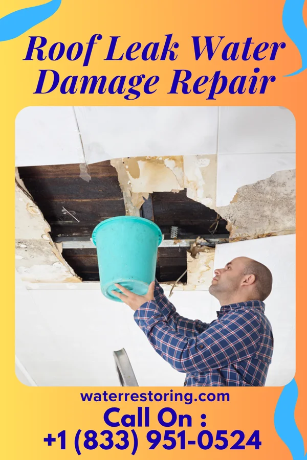 Roof Leak Water Damage Repair in Alma, IL